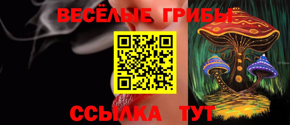 Галлюциногенные грибы ЛСД  Вход с VPN  наркотики  Псилоцибиновые грибы мухоморы  Сланцы 